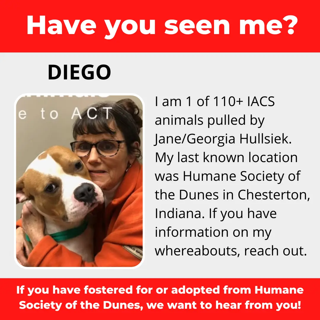 Diego - a dog that was 'rescued' by the Northwest Indiana (NWI) Humane Society of the Dunes (founded by Jane Hullsiek) in Chesterton.